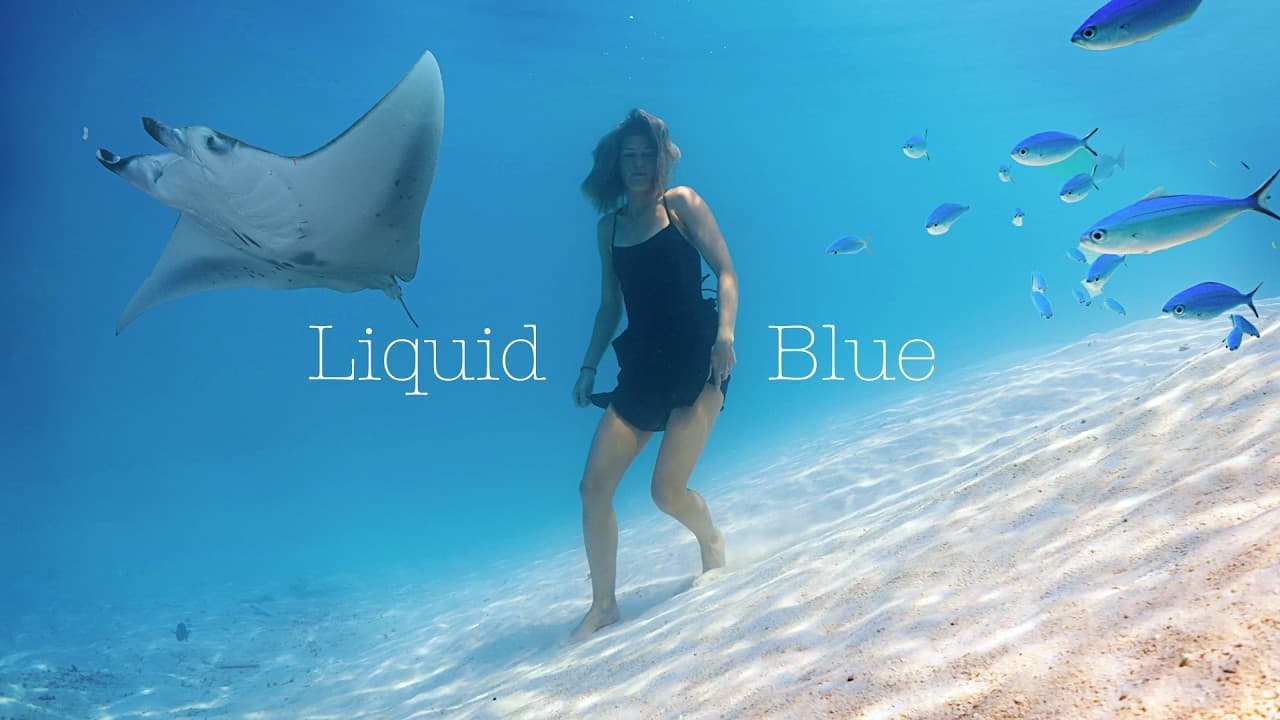 Liquid Blue — Freediving the Maldives with Scuba Spa Yang
