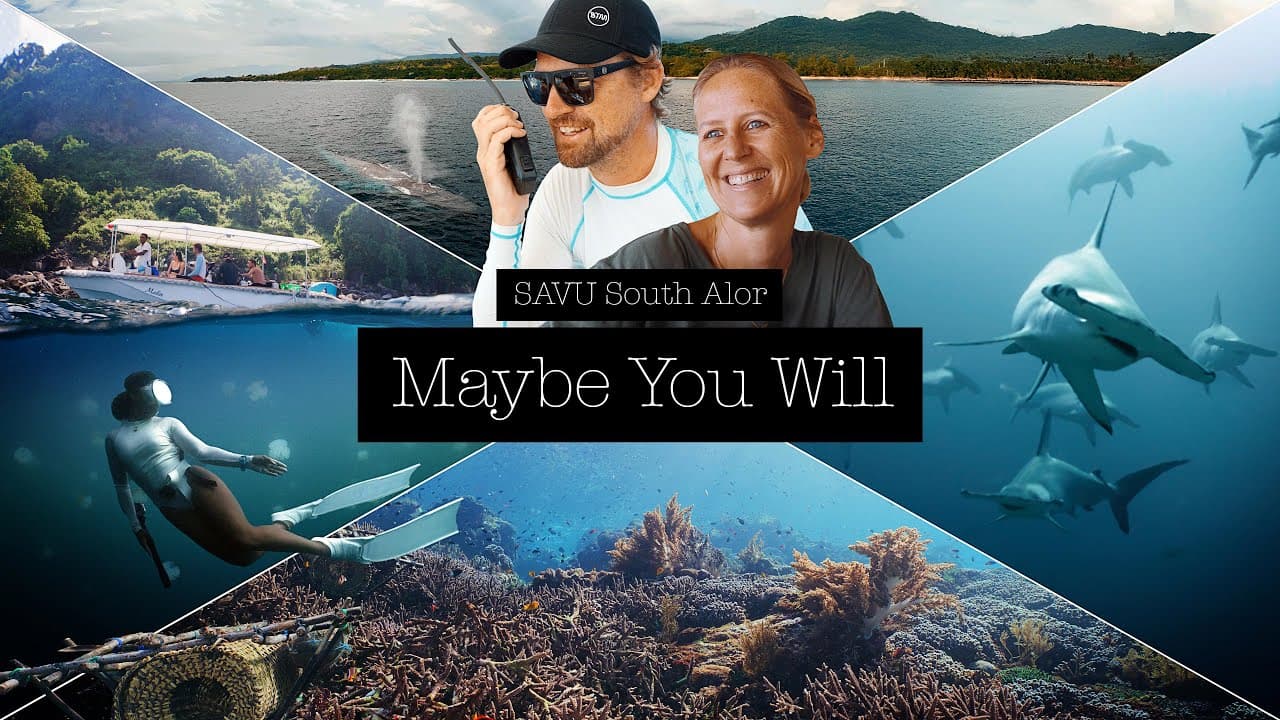 Maybe You Will — Diving with SAVU in South Alor